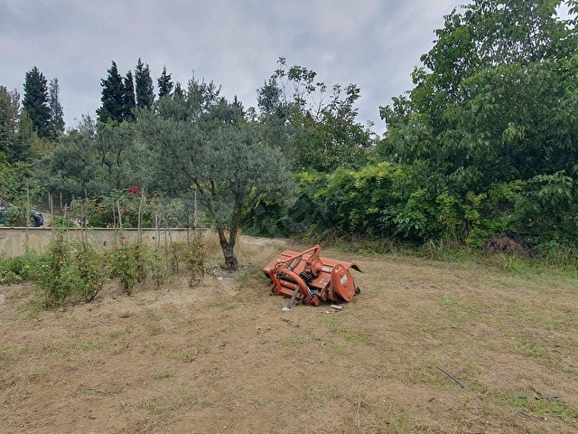 KARAMÜRSEL, İNEBEYLİ, 17.635 m2 CEVİZ BAĞI + 250 m2 ÇİFTLİK EVİ - Görsel 25