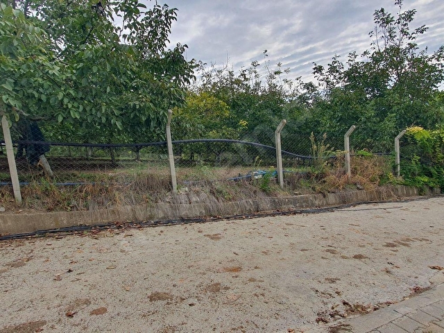 KARAMÜRSEL, İNEBEYLİ, 17.635 m2 CEVİZ BAĞI + 250 m2 ÇİFTLİK EVİ - Görsel 29