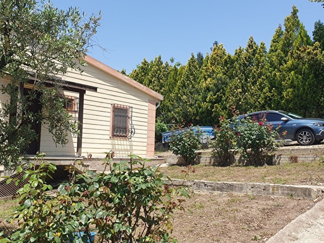 KARAMÜRSEL, İNEBEYLİ, 17.635 m2 CEVİZ BAĞI + 250 m2 ÇİFTLİK EVİ - Görsel 13