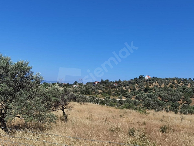 Buca kaynaklar satılık 7,680m2 tek tapu tarla - Görsel 5