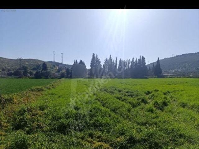İmar sınırında!!!Foça Ilıpınar da 10 dönüm satılık tarla - Görsel 25