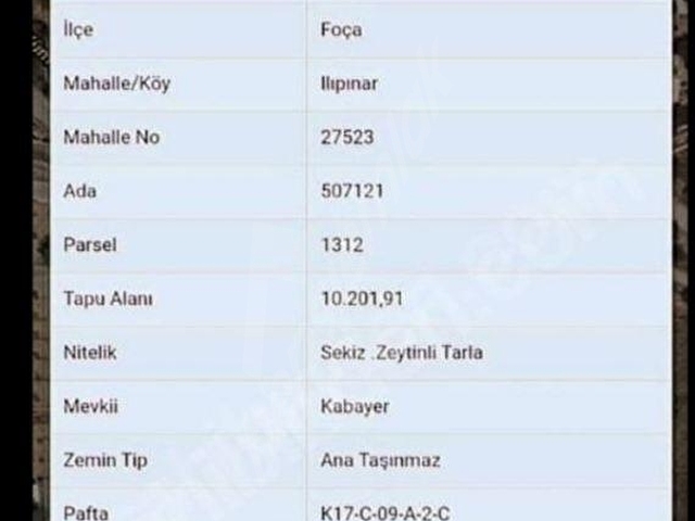 İmar sınırında!!!Foça Ilıpınar da 10 dönüm satılık tarla - Görsel 9