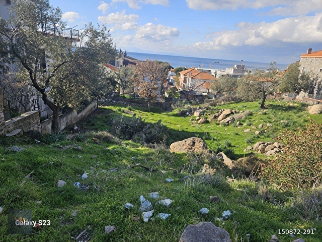 Dikili Denizköyde Deniz Manzaralı 801 m2 Satılık Fırsat Arsa - Görsel 4
