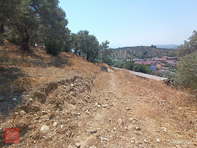 AYDINGERMENCİK ABDURRAHMANLAR KÖYÜNDE 1.508 M2 SATILIK ZEYTİNLİK - Görsel 15