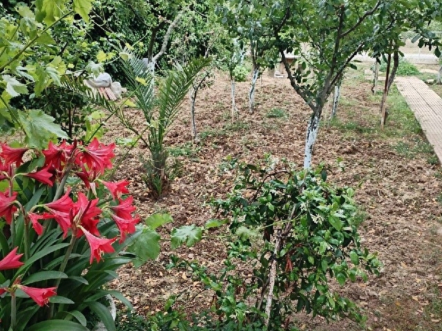 sahibinden satılık müstakil villa - Görsel 18