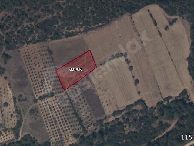 LİDERDEN Muğla Göktepede Satılık 2422m² Zeytinlik-Yolu Var - Görsel 2