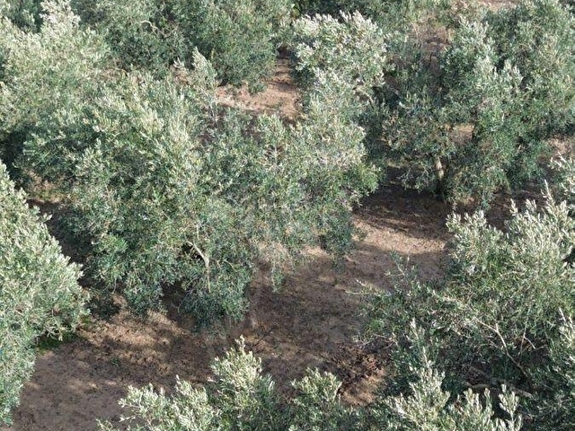 BANDIRMA MUSAKÇA’DA EŞSİZ MANZARALI SATILIK ARSA - Görsel 13