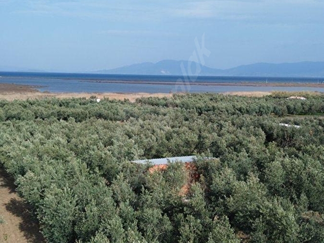 BANDIRMA MUSAKÇA’DA EŞSİZ MANZARALI SATILIK ARSA