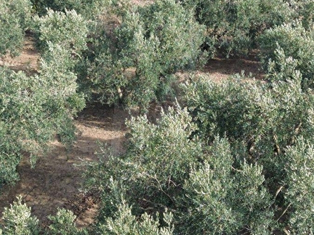 BANDIRMA MUSAKÇA’DA EŞSİZ MANZARALI SATILIK ARSA - Görsel 10