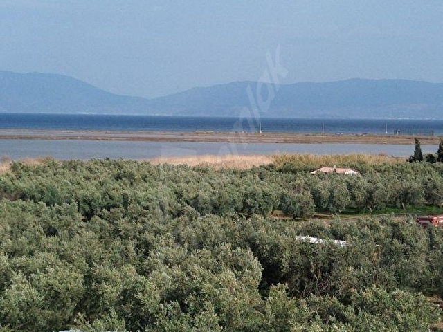 BANDIRMA MUSAKÇA’DA EŞSİZ MANZARALI SATILIK ARSA - Görsel 8
