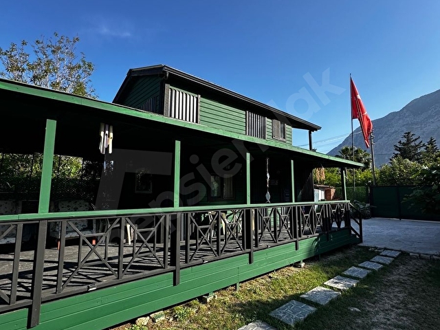 MUHTEŞEM DOĞA VE ORMAN MANZARALI - Görsel 12
