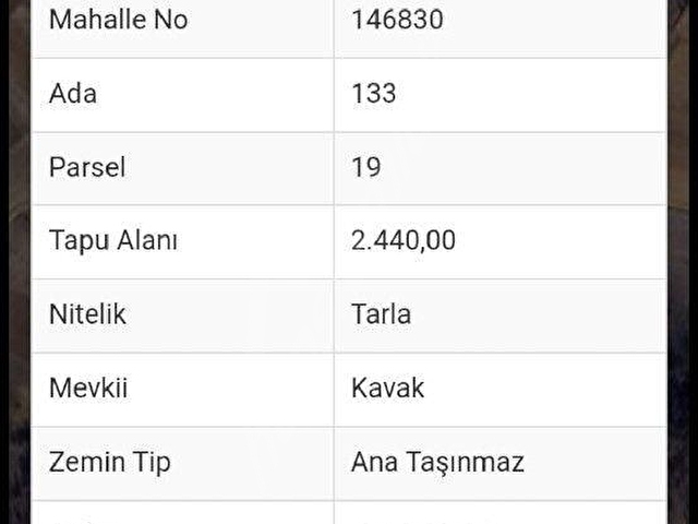 bilecik söğüt ortaca satılık arazi - Görsel 2