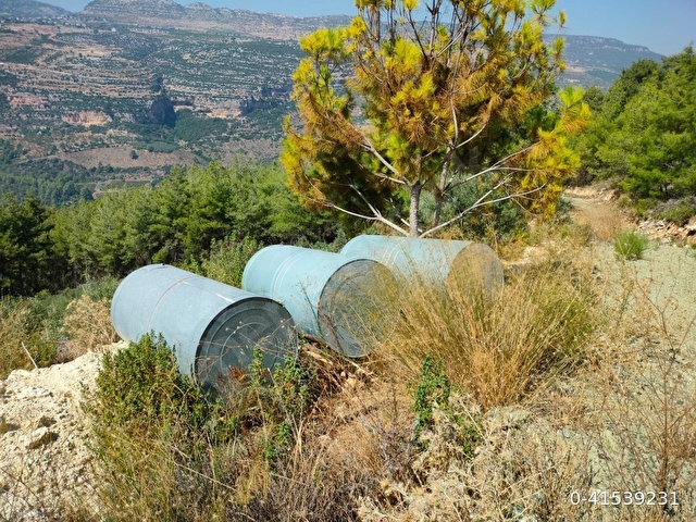 Musalı’da Sahibinden Zeytin Bahçesi - Görsel 6
