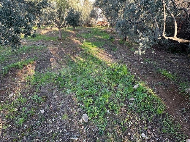 Kuşadası Güzelçamlı Mahallesinde Satılık Tarla - Görsel 14