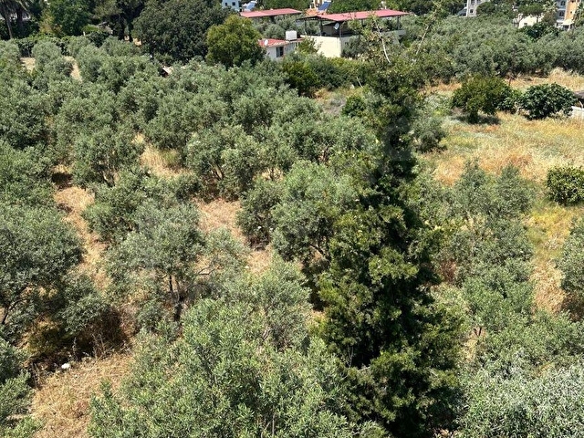 Kuşadası Güzelçamlı Mahallesinde Satılık Tarla - Görsel 29