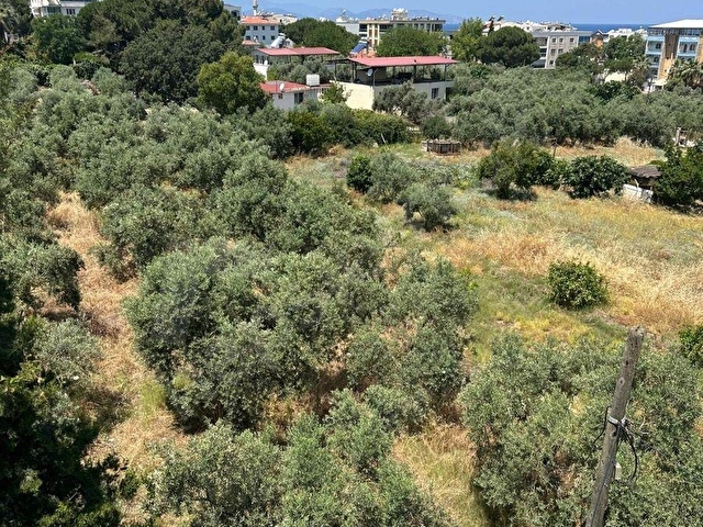 Kuşadası Güzelçamlı Mahallesinde Satılık Tarla - Görsel 25