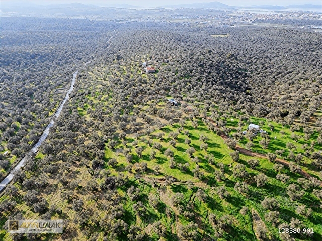 Ayvalık 150 Evler Satılık