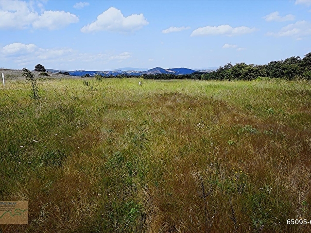 ÇANAKKALE BAYRAMİÇ MURATLAR KÖYÜ 45.000 m2 TARLA