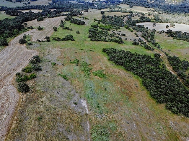 ÇANAKKALE BAYRAMİÇ MURATLAR KÖYÜ 45.000 m2 TARLA - Görsel 24