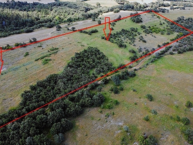 ÇANAKKALE BAYRAMİÇ MURATLAR KÖYÜ 45.000 m2 TARLA - Görsel 29