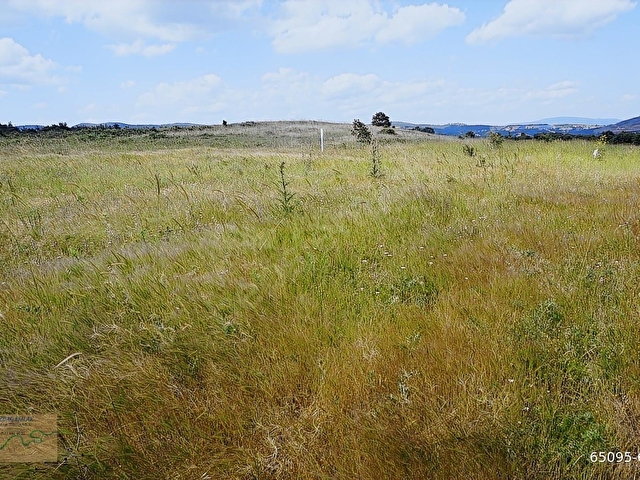 ÇANAKKALE BAYRAMİÇ MURATLAR KÖYÜ 45.000 m2 TARLA - Görsel 2