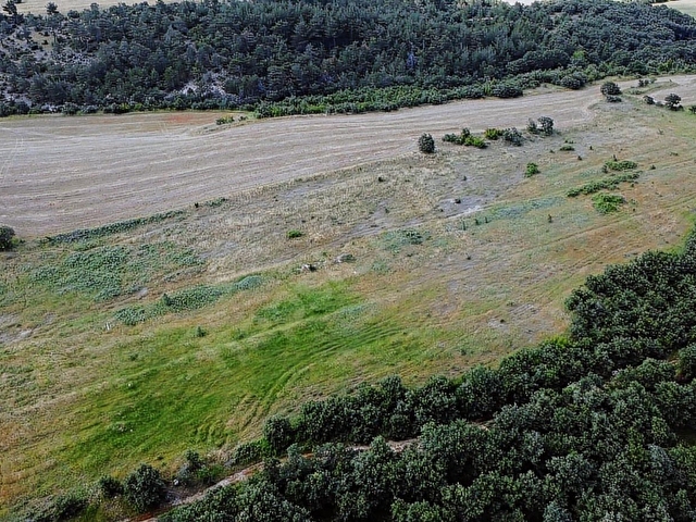 ÇANAKKALE BAYRAMİÇ MURATLAR KÖYÜ 45.000 m2 TARLA - Görsel 28