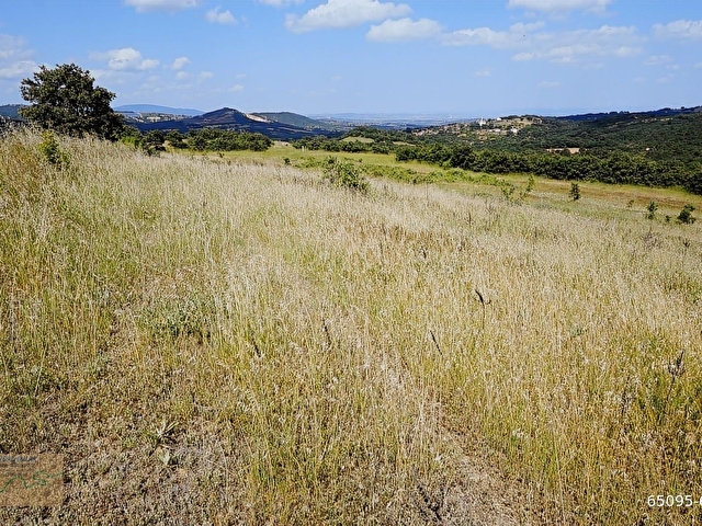 ÇANAKKALE BAYRAMİÇ MURATLAR KÖYÜ 45.000 m2 TARLA - Görsel 13