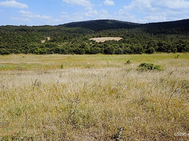 ÇANAKKALE BAYRAMİÇ MURATLAR KÖYÜ 45.000 m2 TARLA - Görsel 12