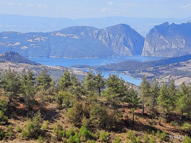 SAMSUN ALAÇAM GÜMÜŞOVADA ACİL SATILIK FIRSAT TARLA - Görsel 23