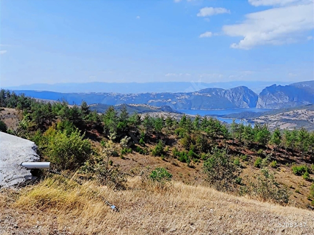 SAMSUN ALAÇAM GÜMÜŞOVADA ACİL SATILIK FIRSAT TARLA - Görsel 21