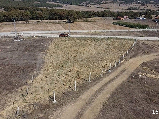 KAVAK MUHSİNLİDE EV YAPMAYA UYGUN SATILIK TARLA