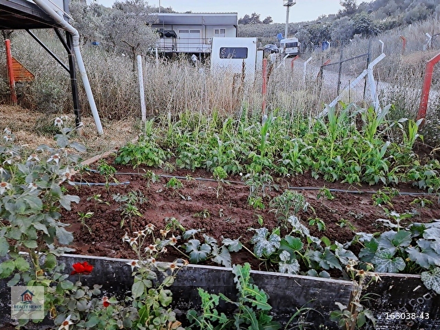 GEMLİK KURTUL MAHALLESİNDE HUZURLU HOBİ BAHÇESİ - Görsel 21