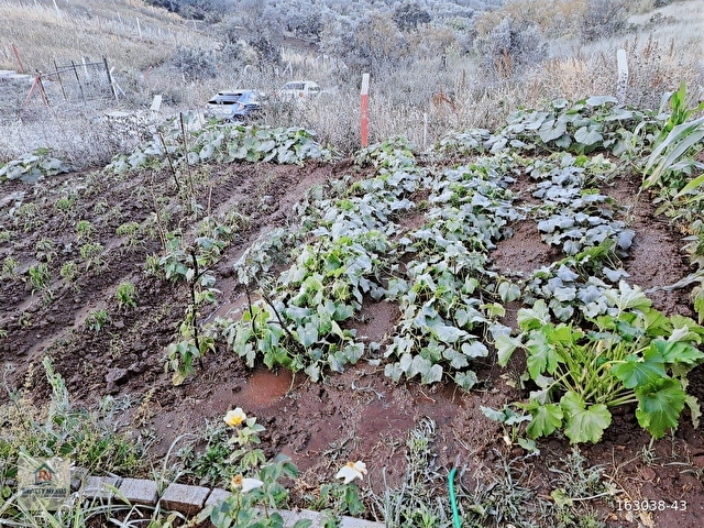 GEMLİK KURTUL MAHALLESİNDE HUZURLU HOBİ BAHÇESİ - Görsel 10