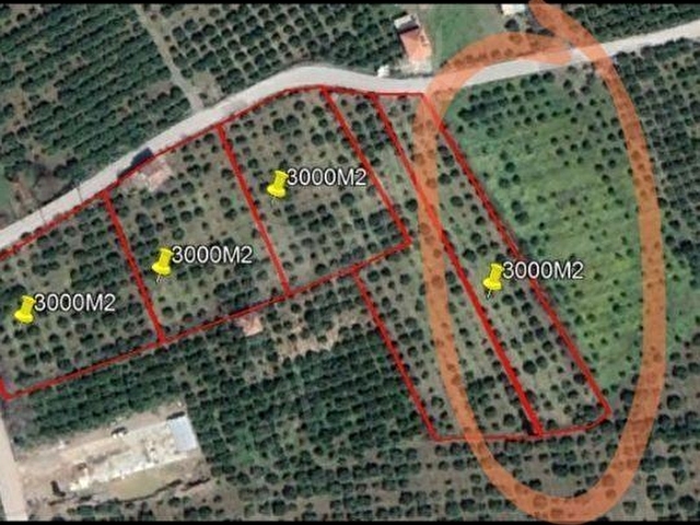 Kavakdere Orhanlı Yol Ayrmında Köy İçi İmarlı Arsa - Görsel 2