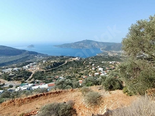 ACİL SATILIK KAÇIRILMAYACAK FIRSAT KAŞ BEZİRGAN - Görsel 12