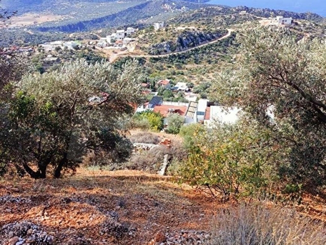 ACİL SATILIK KAÇIRILMAYACAK FIRSAT KAŞ BEZİRGAN - Görsel 18