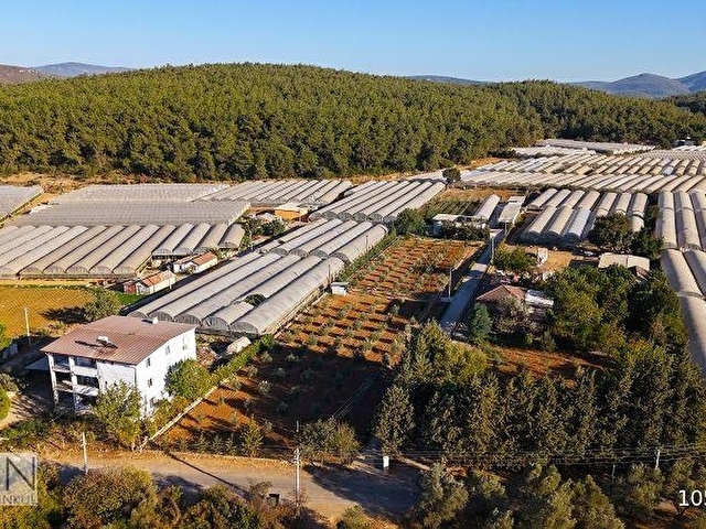 9778M2 HAZIR KURULU DÜZEN ÇİFTLİK - Görsel 17