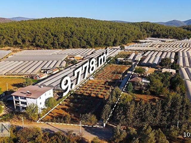 9778M2 HAZIR KURULU DÜZEN ÇİFTLİK - Görsel 10