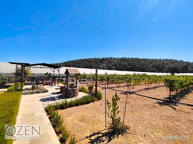 9778M2 HAZIR KURULU DÜZEN ÇİFTLİK - Görsel 15
