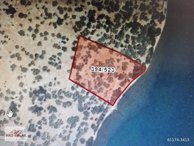 MİLAS KIYIKIŞLACIKDA DENİZE SIFIR 3752 M2 ZEYTİNLİK MKD EMLAK - Görsel 11