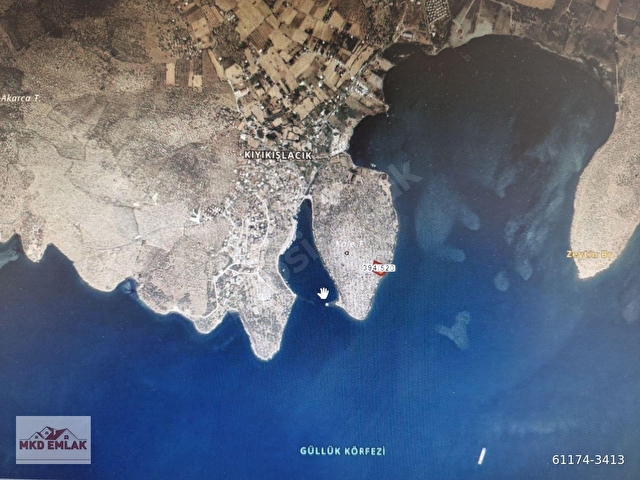 MİLAS KIYIKIŞLACIKDA DENİZE SIFIR 3752 M2 ZEYTİNLİK MKD EMLAK - Görsel 4