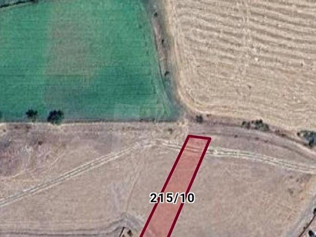 SUŞEHRİ KEMALPAŞA 866 M2 SATILIK BAHÇE - Görsel 5