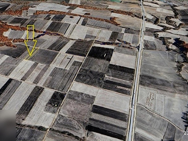 Edirne Meriç Olacakta Fırsat ARAÇ TAKASLI Tarla - Görsel 13