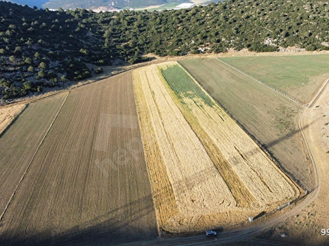 ALİ TOSUN DAN ELMALI - KARAMIK TA ETRAFI TEL ÖRGÜ İLE ÇEVRİLİ  22.100 M²  FIRSAT ARAZİMİZ - Görsel 14