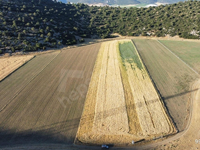 ALİ TOSUN DAN ELMALI - KARAMIK TA ETRAFI TEL ÖRGÜ İLE ÇEVRİLİ  22.100 M²  FIRSAT ARAZİMİZ - Görsel 9