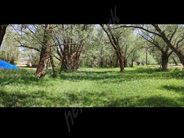 SAHİBİNDEN SATILIK 12 DÖNÜM YOLA CEPHELİ ELEKTRİK SU DİBİNDE  KÖY İÇİNDE TARLA - Görsel 9