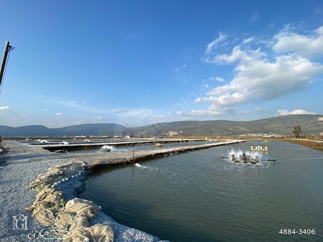 milas bodrum havaalanina 9 km mesafede satilik balik ciftligi 4884 3406 hurriyet emlak
