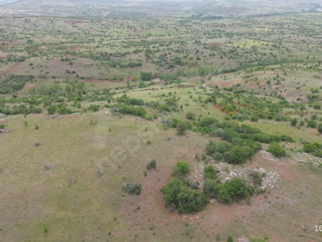 GÜNEYSINIR GÜRAĞAÇDA 2.272 M2 MÜSTAKİL TAPULU BAĞ - Görsel 10