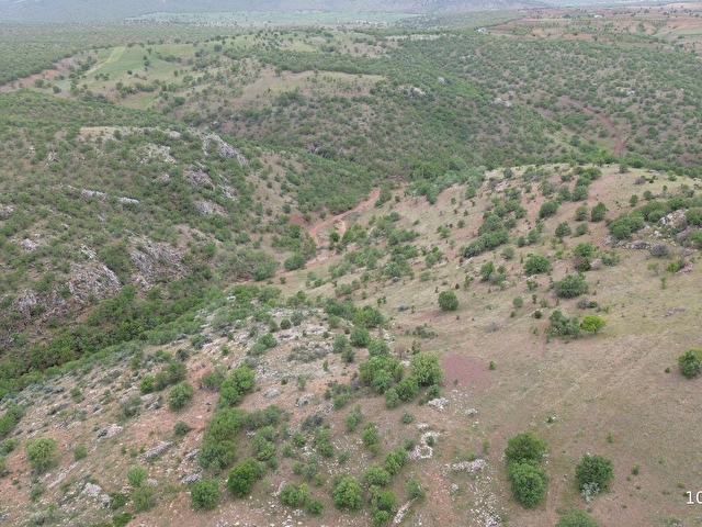 GÜNEYSINIR GÜRAĞAÇDA 2.272 M2 MÜSTAKİL TAPULU BAĞ - Görsel 12