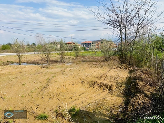 SATILIK ARSA SAKARYA ARIFİYE - Görsel 15